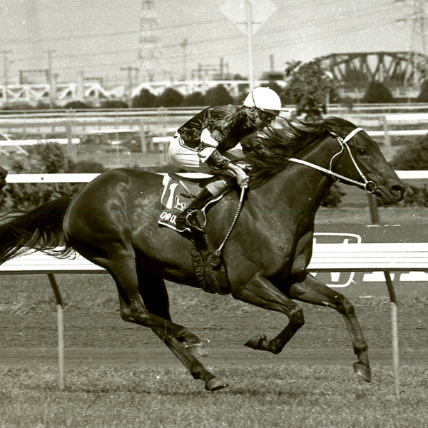 2026 History Matters_600x600